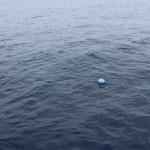 joan's urn before it sank