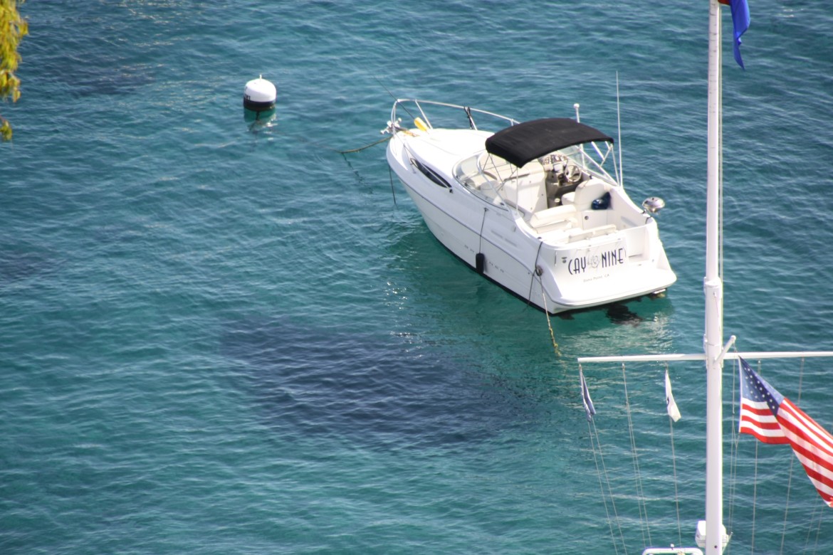 caynine catalina